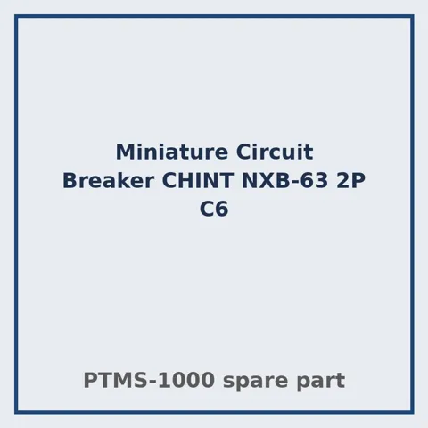 Miniature Circuit Breaker CHINT NXB-63 2P C6